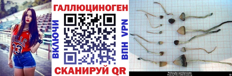 Галлюциногенные грибы Cubensis  Купить где  Кондрово 